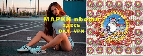гидра Надым