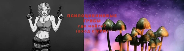 МДПВ Абаза