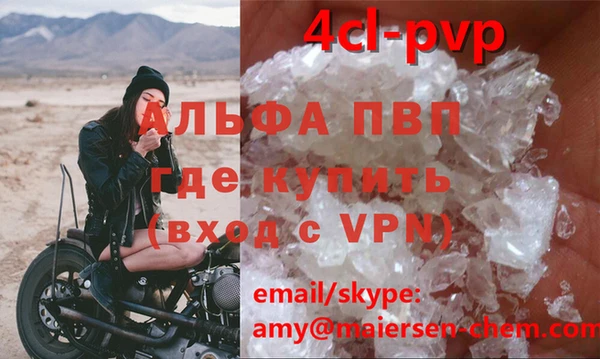 гидра Надым