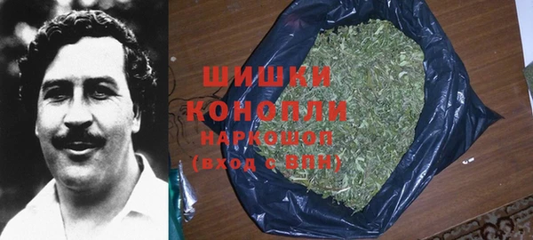 ПСИЛОЦИБИНОВЫЕ ГРИБЫ Абдулино