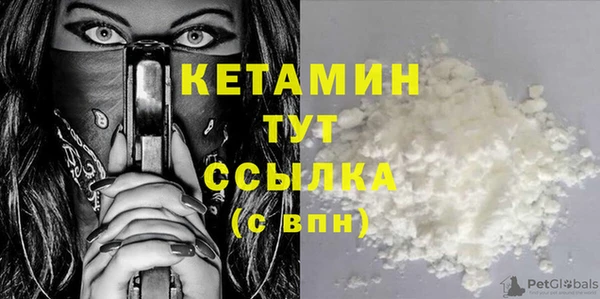 гидра Надым