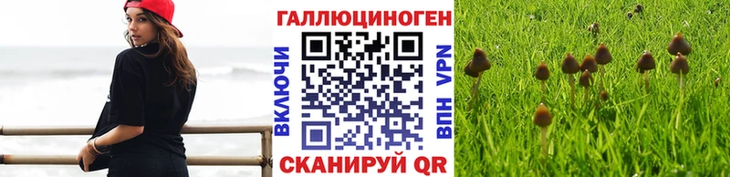 Псилоцибиновые грибы мицелий  Сорск 